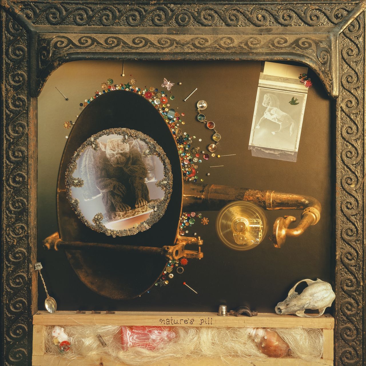 Album cover artwork for Nature's Pill by Wishy featuring an ornate framed collage with a gargoyle image, brass elements, and jewels.